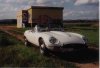 Jaguar4.jpg