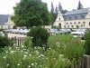 IMG_3690.JPG