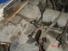 DSC00996.JPG