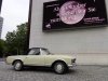 DSC01185.jpg