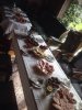 IMG-20180311-WA0004.jpg