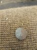 20190419_100605.jpg