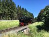RUYL4541.JPG