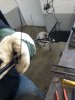 20200425_095253.jpg