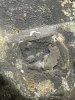 IMG_3560.jpeg