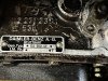 IMG_3817.jpeg