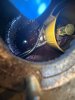 IMG_3890.jpeg