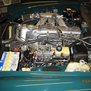 Motor.jpg